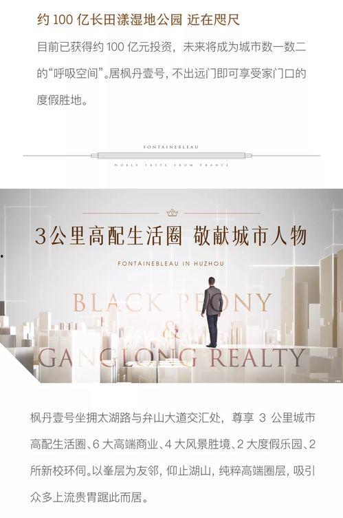 楓丹音樂爆料最新消息新聞,最新音樂動態揭秘