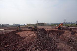 廣安市岳池新聞頭條最新,聚焦岳池發(fā)展新動態(tài)，共話鄉(xiāng)村振興新篇章